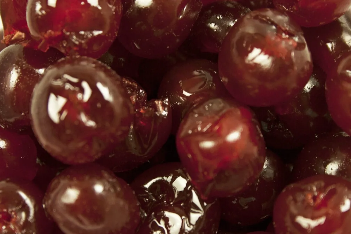 Best Royal Steensma Bigarreaux Rood 20-22mm 475gr.