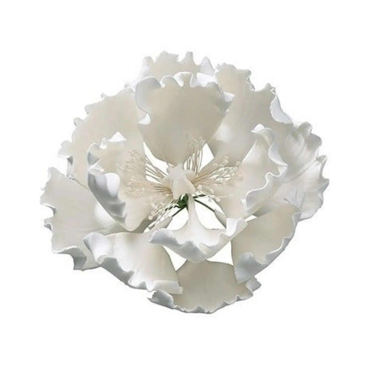 Sale Culpitt Gumpaste Pioen Wit 10cm