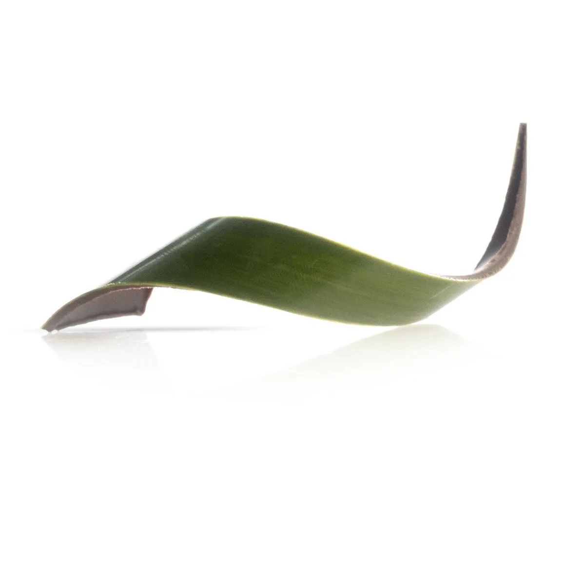 Dobla Chocoladedecoratie Blad Groen (80 stuks)