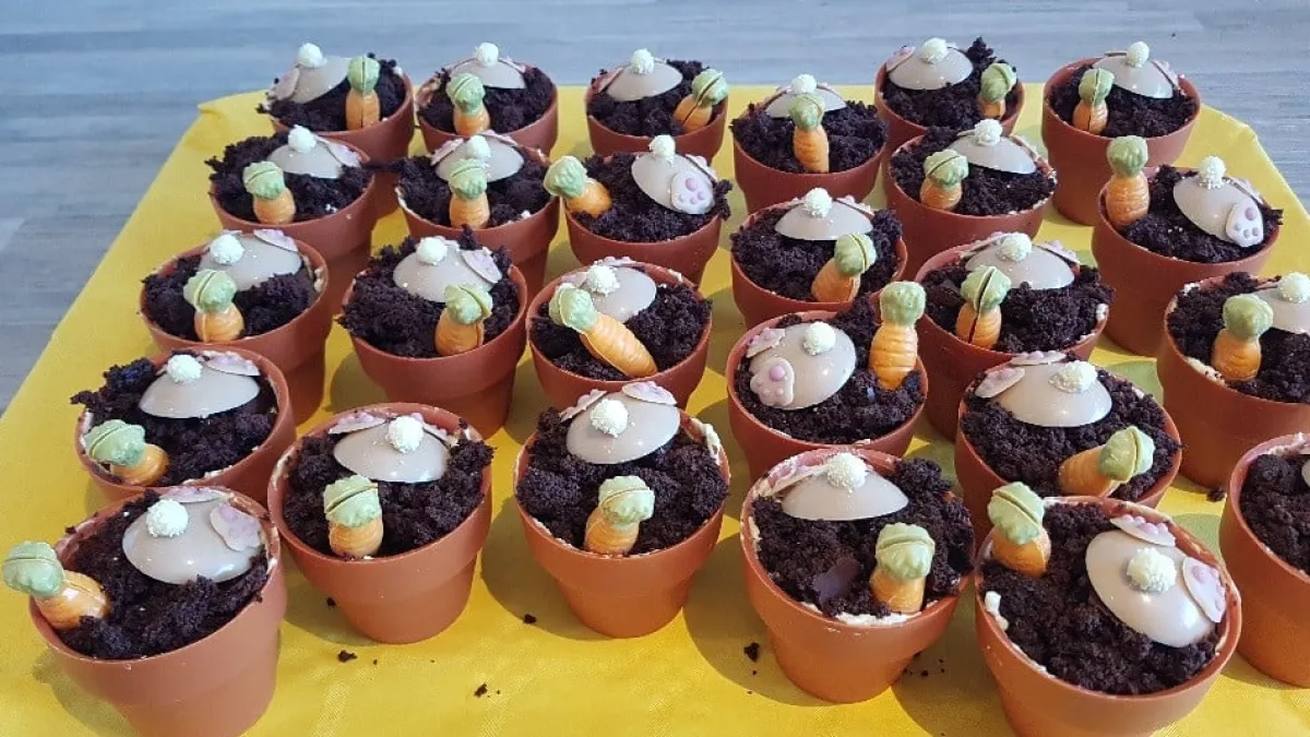 Discount Dobla Chocoladedecoratie Bloempot Mini (24 stuks)