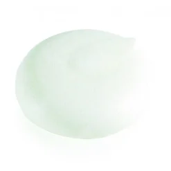 Hot DV Foods DV Meringues Rond Ø6,5x2cm (52st)