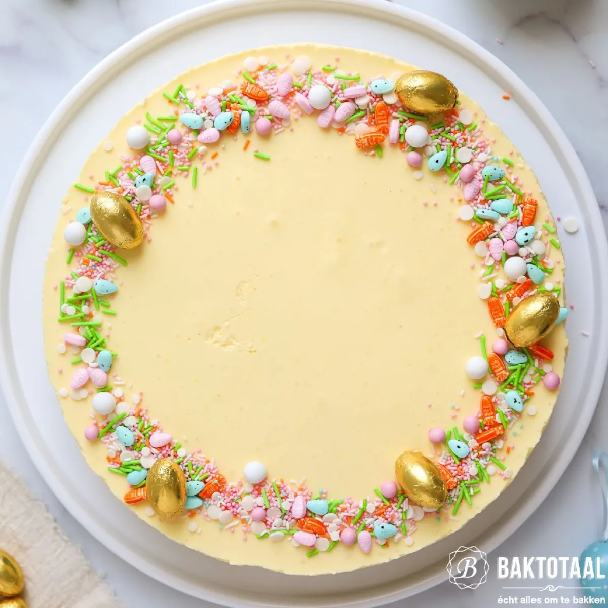 Discount Patisse Springvorm met Lekvrije Bodem Profi Ø24cm