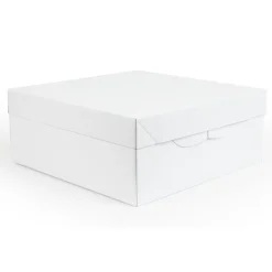 Outlet PME Taartdoos 25x25x15cm
