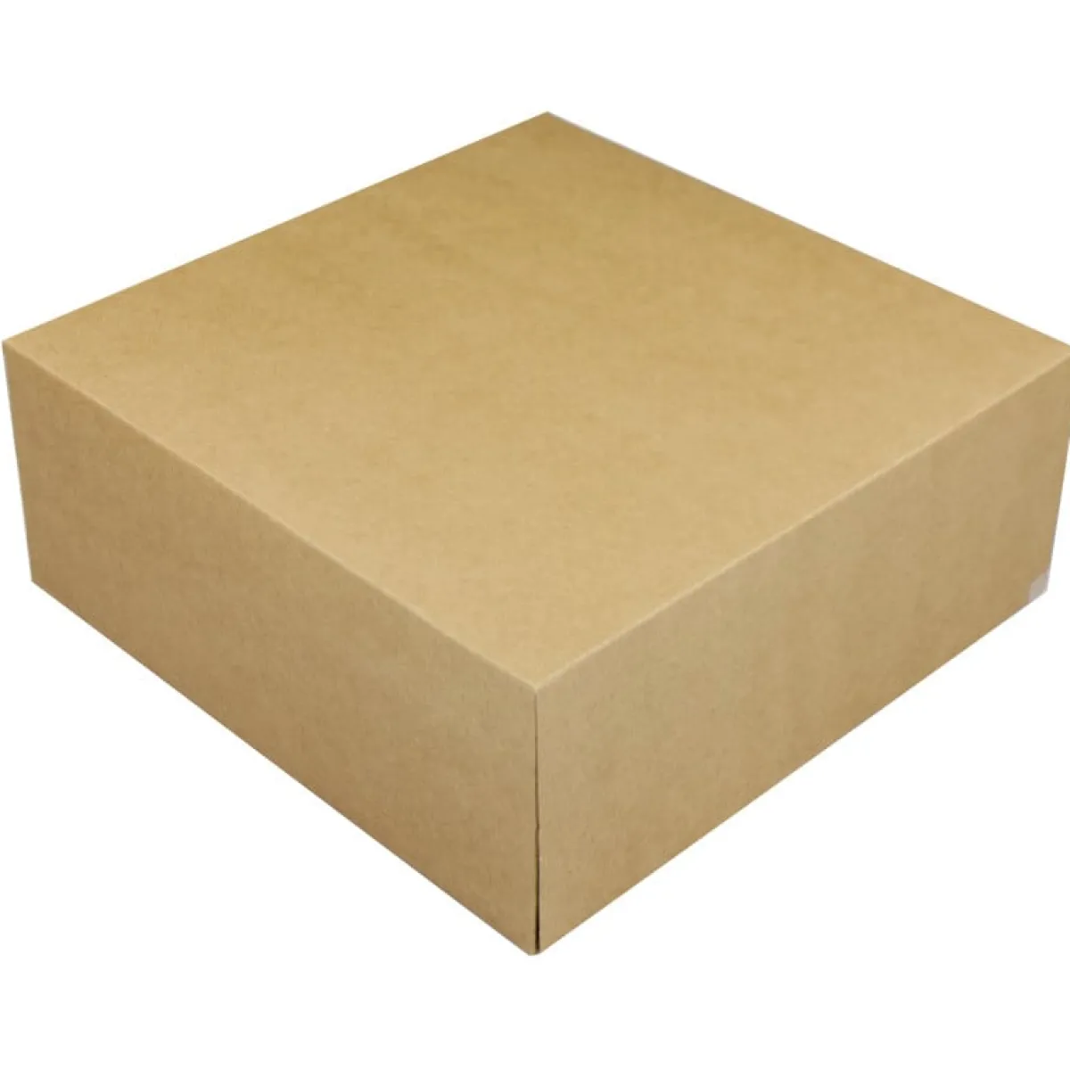 BrandNewCake Taartdoos 25x25x10cm. Kraft 50st