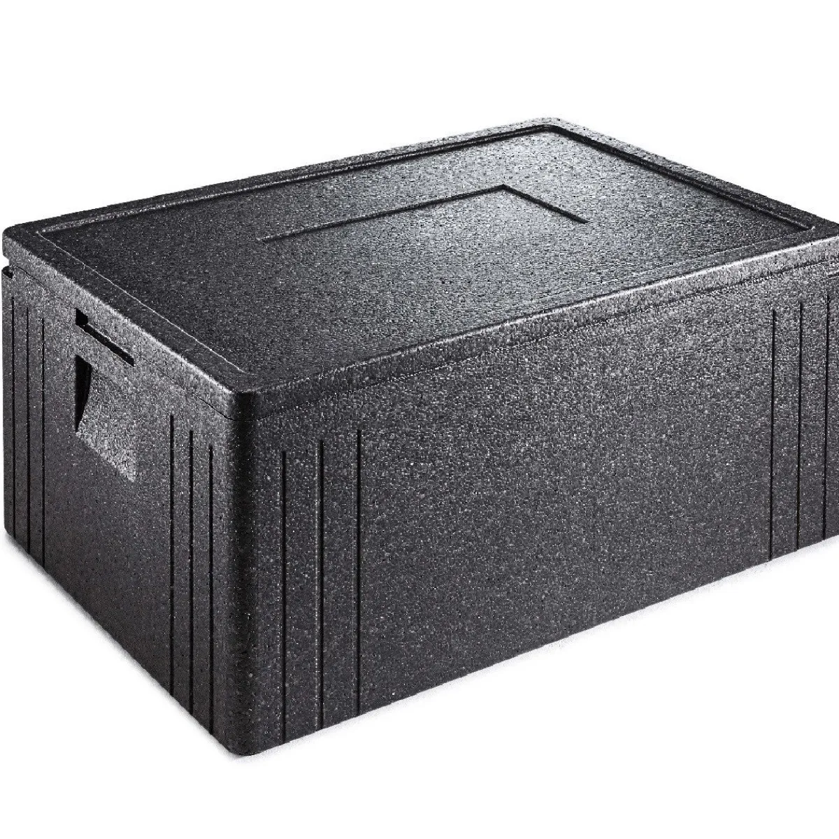 Thermohauser Thermobox Incl. Deksel Eco Line 68,5x48,5x36cm